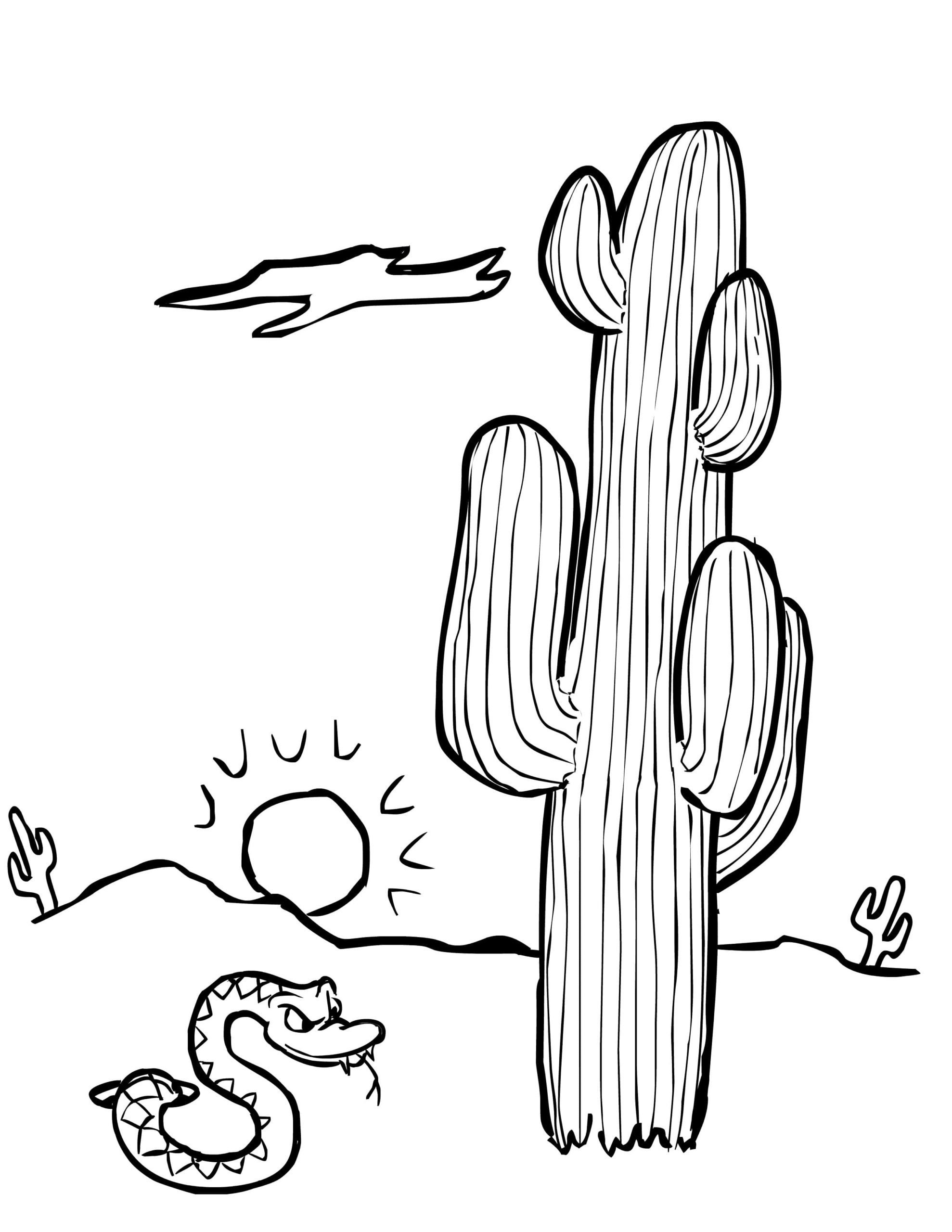 Raskrasil.com-Coloring-Pages-Cactus-49