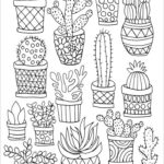 Raskrasil.com-Coloring-Pages-Cactus-5