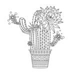 Raskrasil.com-Coloring-Pages-Cactus-50
