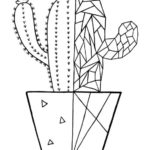 Raskrasil.com-Coloring-Pages-Cactus-53