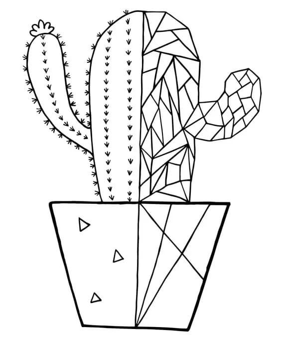 Raskrasil.com-Coloring-Pages-Cactus-53