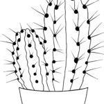 Raskrasil.com-Coloring-Pages-Cactus-58