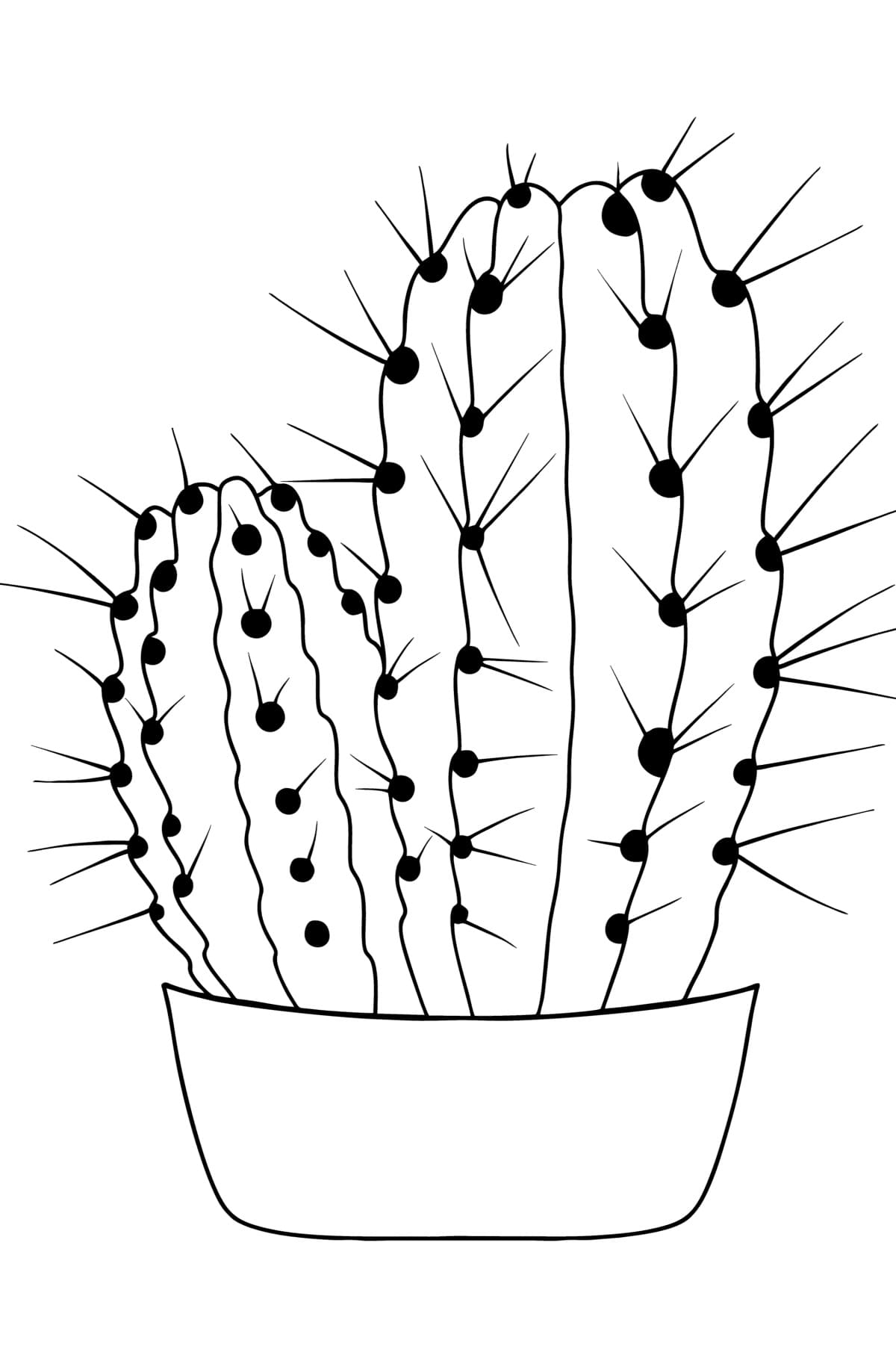 Raskrasil.com-Coloring-Pages-Cactus-58