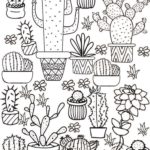 Raskrasil.com-Coloring-Pages-Cactus-6