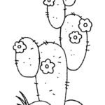 Raskrasil.com-Coloring-Pages-Cactus-66