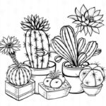 Raskrasil.com-Coloring-Pages-Cactus-70
