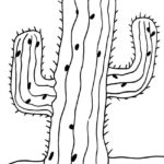 Raskrasil.com-Coloring-Pages-Cactus-72