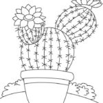 Raskrasil.com-Coloring-Pages-Cactus-74