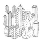 Raskrasil.com-Coloring-Pages-Cactus-77