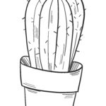 Raskrasil.com-Coloring-Pages-Cactus-81