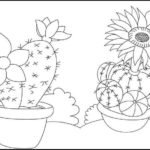 Raskrasil.com-Coloring-Pages-Cactus-82