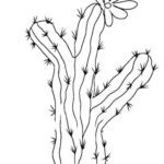 Raskrasil.com-Coloring-Pages-Cactus-87