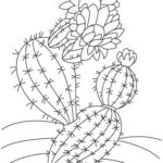 Raskrasil.com-Coloring-Pages-Cactus-88