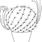 Raskrasil.com-Coloring-Pages-Cactus-89