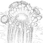 Raskrasil.com-Coloring-Pages-Cactus-90