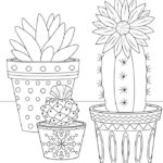 Raskrasil.com-Coloring-Pages-Cactus-94