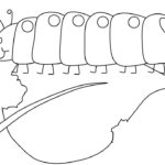 Raskrasil.com-Coloring-Pages-Caterpillar-11