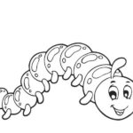 Raskrasil.com-Coloring-Pages-Caterpillar-19