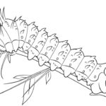 Raskrasil.com-Coloring-Pages-Caterpillar-27