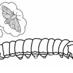 Raskrasil.com-Coloring-Pages-Caterpillar-36