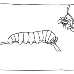 Raskrasil.com-Coloring-Pages-Caterpillar-50