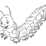 Raskrasil.com-Coloring-Pages-Caterpillar-56