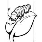 Raskrasil.com-Coloring-Pages-Caterpillar-6