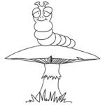 Raskrasil.com-Coloring-Pages-Caterpillar-63