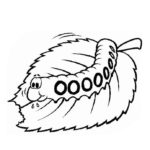 Next Attachment