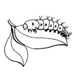 Raskrasil.com-Coloring-Pages-Caterpillar-81