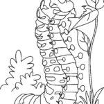 Raskrasil.com-Coloring-Pages-Caterpillar-98