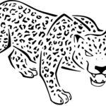 Raskrasil.com-Coloring-Pages-Cheetah-113