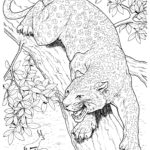 Raskrasil.com-Coloring-Pages-Cheetah-2