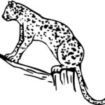 Previous Attachment