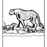 Previous Attachment