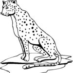Raskrasil.com-Coloring-Pages-Cheetah-33
