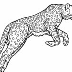 Raskrasil.com-Coloring-Pages-Cheetah-38
