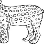 Raskrasil.com-Coloring-Pages-Cheetah-44
