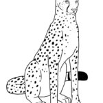 Raskrasil.com-Coloring-Pages-Cheetah-47
