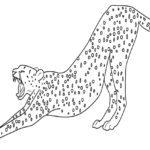 Raskrasil.com-Coloring-Pages-Cheetah-65