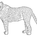 Raskrasil.com-Coloring-Pages-Cheetah-67