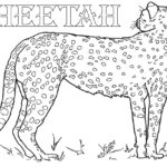 Previous Attachment