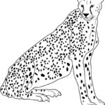 Raskrasil.com-Coloring-Pages-Cheetah-8
