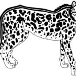 Raskrasil.com-Coloring-Pages-Cheetah-81