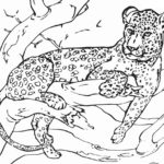 Raskrasil.com-Coloring-Pages-Cheetah-82