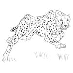 Raskrasil.com-Coloring-Pages-Cheetah-88