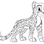 Raskrasil.com-Coloring-Pages-Cheetah-90