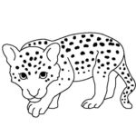Raskrasil.com-Coloring-Pages-Cheetah-93