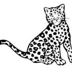Raskrasil.com-Coloring-Pages-Cheetah-96