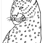 Raskrasil.com-Coloring-Pages-Cheetah-99